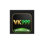 vk999