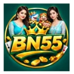 bn55 logo
