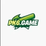 pk6 logo